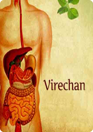 virechana karma smj ayurveda