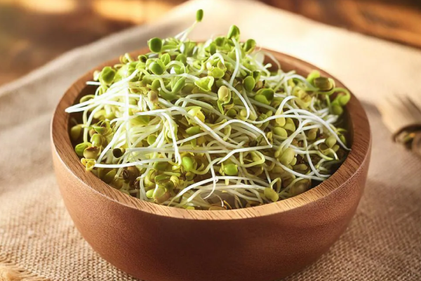 carousel image 4 smj ayurveda and wellness centre