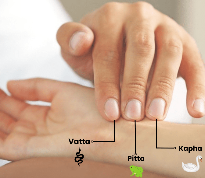 nadi smj ayurveda and wellness centre in vijay nagar